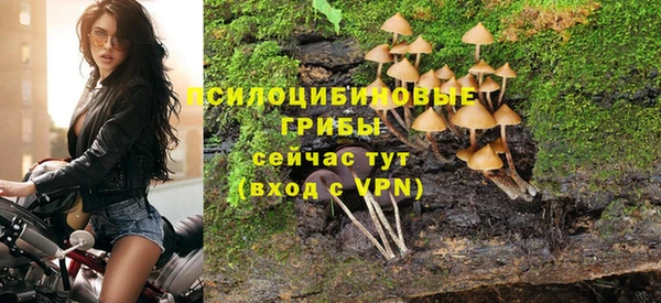СК Абаза