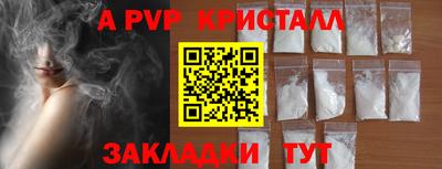 стафф Лесосибирск