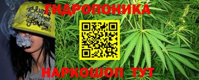 стафф Лесосибирск