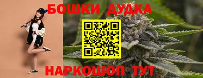 стафф Лесосибирск