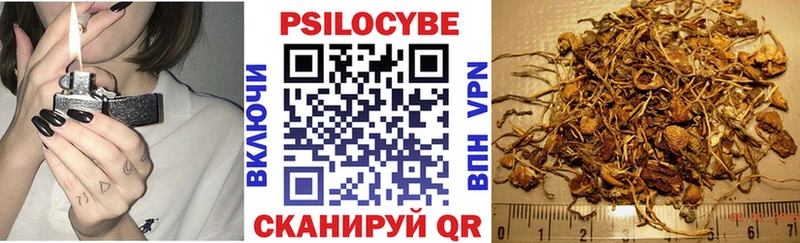Галлюциногенные грибы Magic Shrooms  наркотики  Керчь 