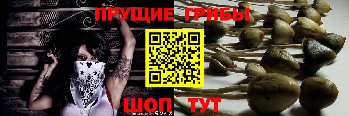 Псилоцибиновые грибы ЛСД Керчь